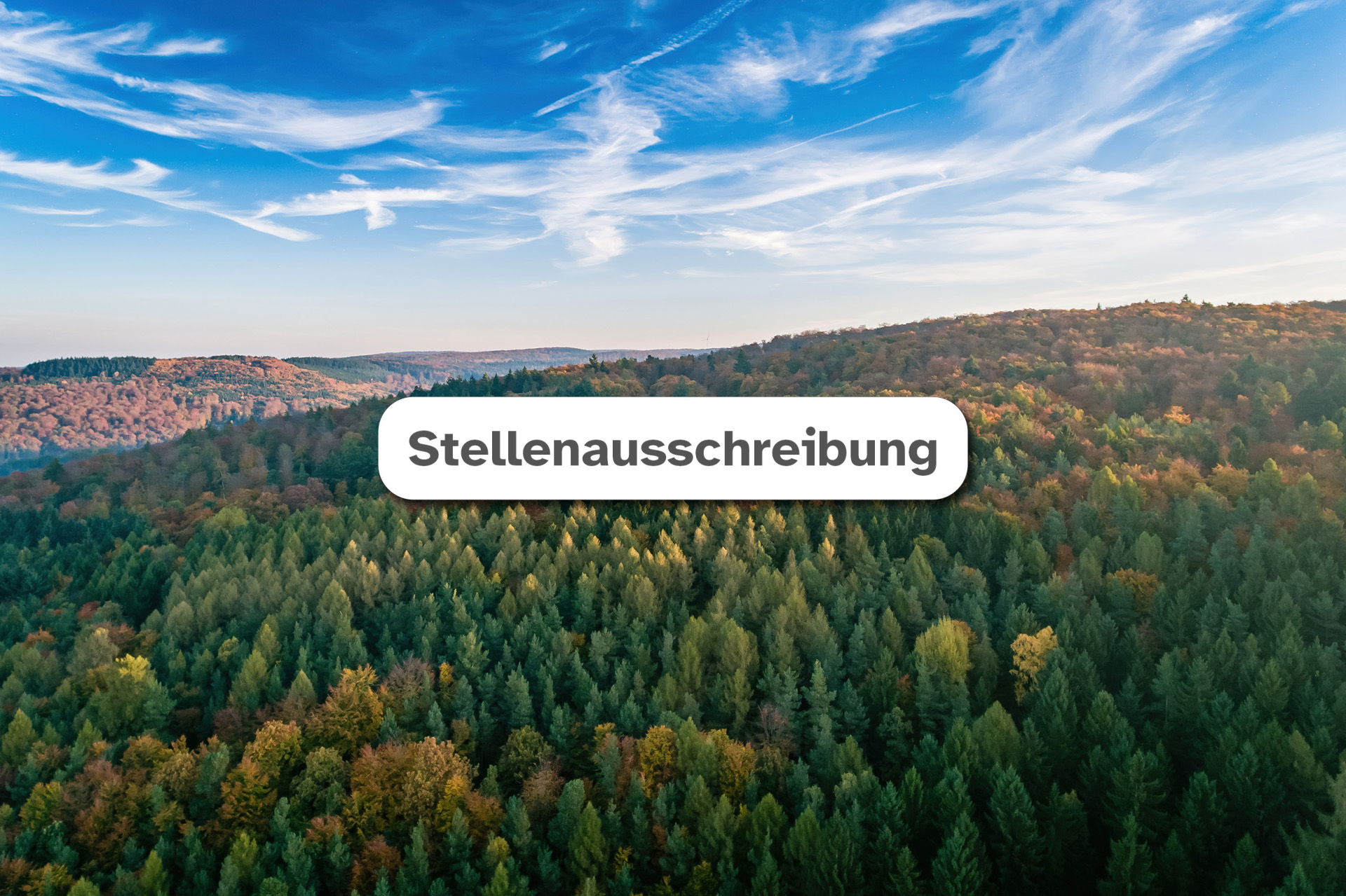 Auf dem Bild ist eine Zusammenfassung über die Stellenausschreibung abgebildet. Alle Informationen die dort stehen, stehen im Text unten.