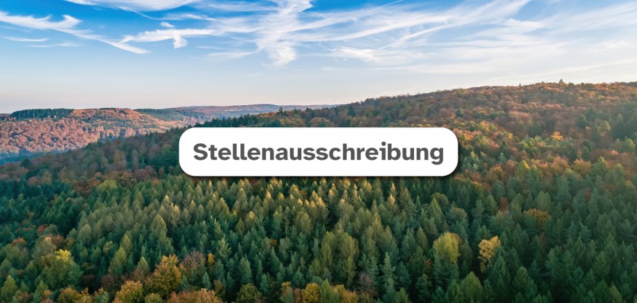 Text "Stellenausschreibung" auf weißer Fläche, im Hintergrund ein Foto des Steinwald Neukirchen aus der Vogelperspektive, oben blauer Himmel mit leichten Schleierwolken.